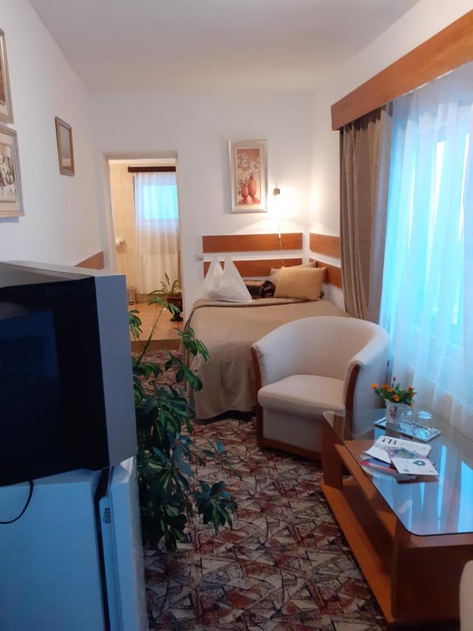 Pensiunea Floare De Colt Pensiune 3*