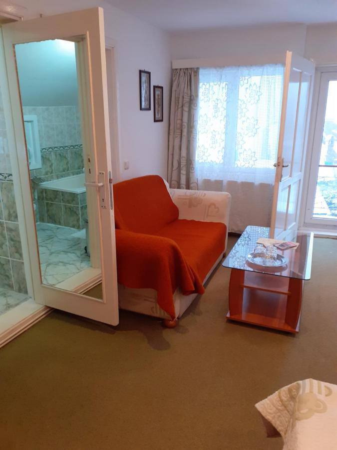 Pensiunea Floare De Colt 3* Sinaia