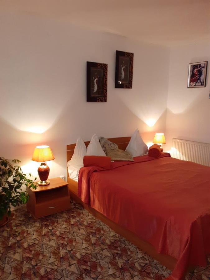 Pensiune Pensiunea Floare De Colt 3*