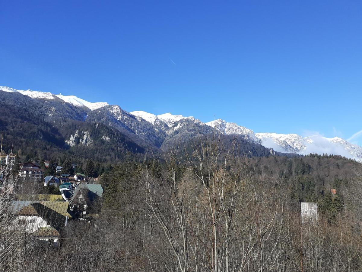 Pensiunea Floare De Colt Sinaia