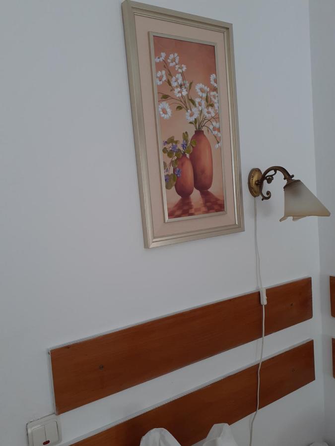 Pensiune Pensiunea Floare De Colt 3*